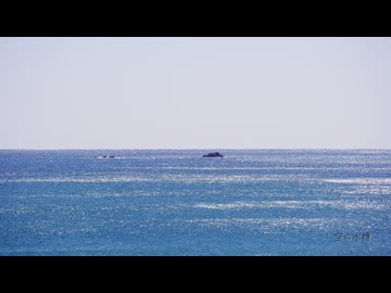空の水槽 / 十竜 feat. 宮舞モカ