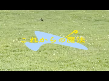 これからの魔法