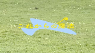 これからの魔法 のサムネイル