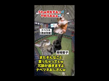 【南場智子 横浜DeNAベイスターズ】金は出すが野球には口出ししない！？日本一野球好きな女性球団オーナー #猫マニ #猫ミーム #ショート