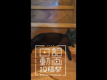【日記動画投稿祭2026年夏】我が家の猫日記　24日目：朝から眠い猫【VOICEVOX：東北ずん子】