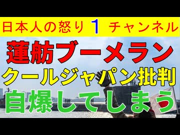 【蓮舫が大ブーメラン】「クールジャパンの責任を取れ！」というも悪夢の民主党政権時代に骨子ができたことを突かれ泡を吹いて倒れてしまうWWW