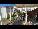 アヒルくん！馬術大会