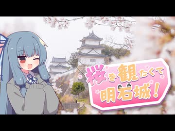 【第12回ひじき祭】桜を観たくて明石城！【琴葉姉妹のお城さんぽ】