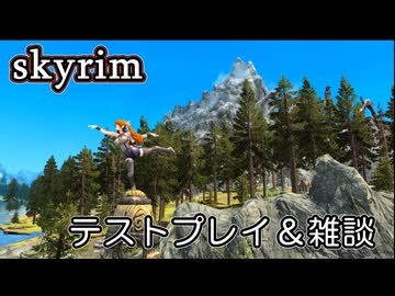 【skyrim】テストプレイと雑談（ソフトウェアトーク）