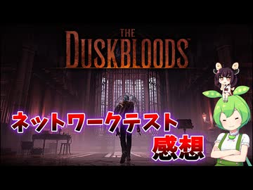 ダスクブラッドネットワークテスト体験記
