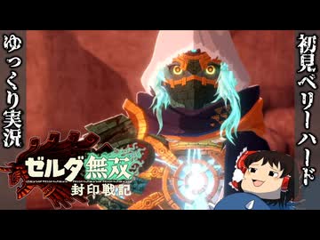 【初見ベリーハード#24】ベリハで因縁の赤黒いゴーレムと対峙する聖なる騎士ゴーレム【ゼルダ無双封印戦記/ゆっくり実況】