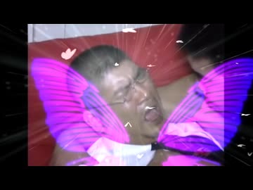 糸引き蝶
