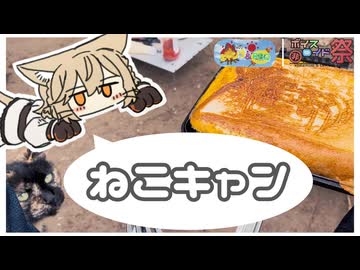 【ナースロボ車載】ねことキャンプと時々ザリガニ。【第12回ひじき祭】【真夏のキャンプ＆BBQ祭】
