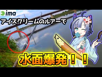 【水面爆発しまくり】夏シーバスをトップで釣るならアイスでしょ！【ポッキー100】【シーバスアングラーナンバーセブン！】