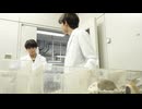 ウルトラマンテオ 第8話「最後の幽霊部員」