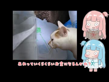 【つぐのひ】あかねちゃんの日常が壊れていくpart5【VOICEROID実況】