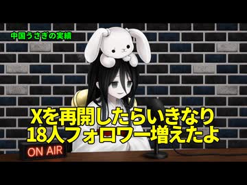 【中国うさぎ】X再開したら18人フォロワー増えた