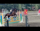 フェリオくん！馬術大会②