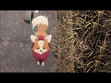 【AniPAFE2026】ちくわ！