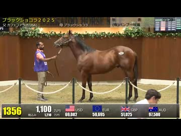 【2026北海道サマーセール】6日目 上場番号1351～1406 (最終)