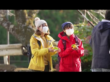 平日深呼吸。　第23話　焚き火とカレーの香りで深呼吸。