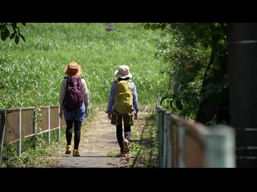 平日深呼吸。　第19話　三県と野鳥たちと一緒に深呼吸。