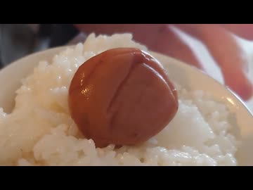 umegohan
