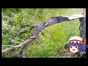 ゆっくり農民288プラムを育ててみませんか？#4