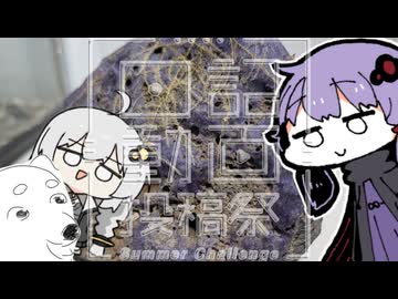 【日記動画投稿祭 2026 夏】ちんまい二人の雑日記【26日目】紫の石の話