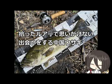 拾ったルアーで思いがけない出会いをする中国うさぎ【VOICEROIDフィッシング】