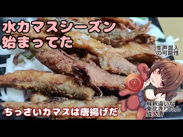 きりたんの釣果酒肴禄　ヤマトカマスの唐揚げ