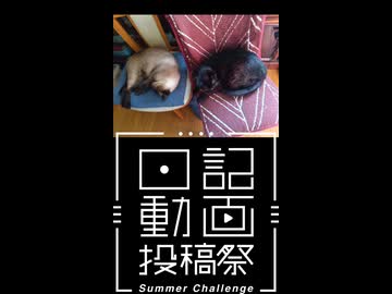 【日記動画投稿祭2026年夏】我が家の猫日記　28日目：兄弟で寝てるだけ【VOICEVOX：東北ずん子】