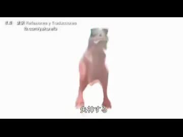 助けて!!失神する!!だまれ!!レズビアンのおじいさん!!