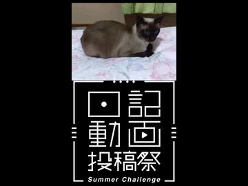 【日記動画投稿祭2026年夏】我が家の猫日記　29日目：ゴロゴロ音録音チャレンジ【VOICEVOX：東北ずん子】