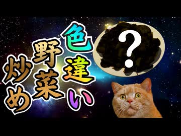 色違い野菜炒め作ってみた【ずんだもん】