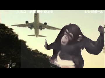 SARUずっきゅん