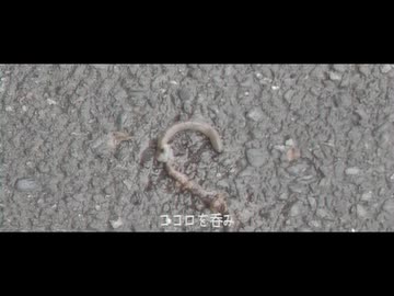 てんとうむしは天使の虫
