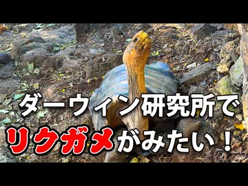 ダーウィン研究所で進化論の足跡を巡る【男爵ガラパゴス旅行記2026】Part4