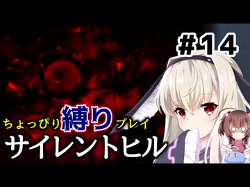 ちょっぴり縛りで【サイレントヒル】を一人と一羽がプレイ part14