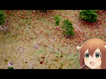 ホモと見る増えすぎてしまった長野県の鹿たち