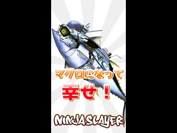 【忍殺語辞典】知性マグロ
