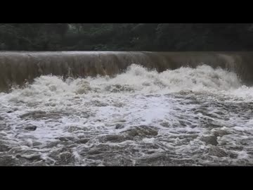 大雨と家の庭