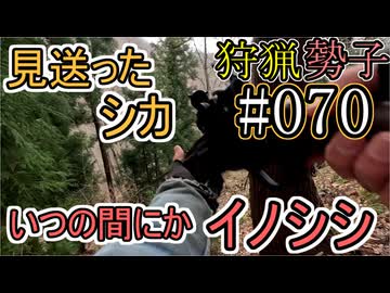狩猟勢子動画＃070　見送ったシカ　いつの間にかイノシシ