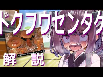 東北きりたんの毒キノコ解説『ドクフウセンタケ』