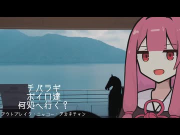チバラギボイロ達何処へ行く？～アウトブレイク・ニッコー・アカネチャン～