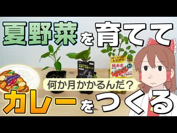苗から育てて夏野菜カレーをつくったら悲しい結末が待っていた【ゆっくり】【サイエンスクッキング #21】