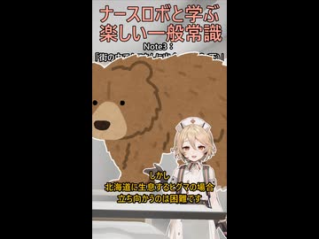 【ナースロボと学ぶ楽しい一般常識】街の中でクマさんに出会ったら？(下)【ナースロボ_タイプT】