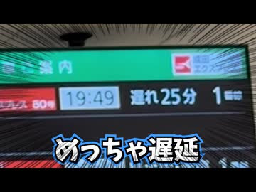【遅延】成田エクスプレスが快速に負けたwwwwww【N'EX】