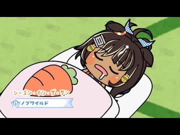 【たぬき】ワイルドの夏（海）