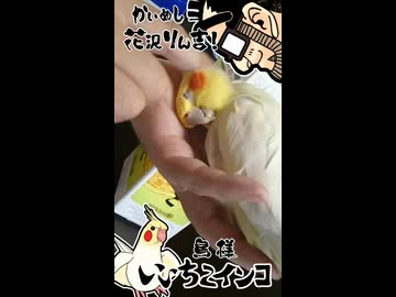 幸せの時間！
