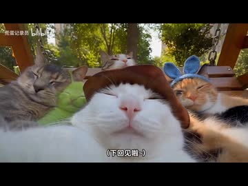 ホモと見るたまにはあてもなく旅する猫系youtuber