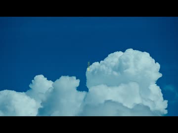 忘れ草 / flar.