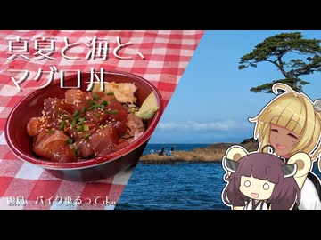 【VOICEROID車載】霧島、三浦の朝市行くってよ。【Vtuber】