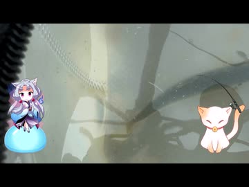 イタコのへっぽこ釣日記20260901　1分釣り動画投稿祭2026？